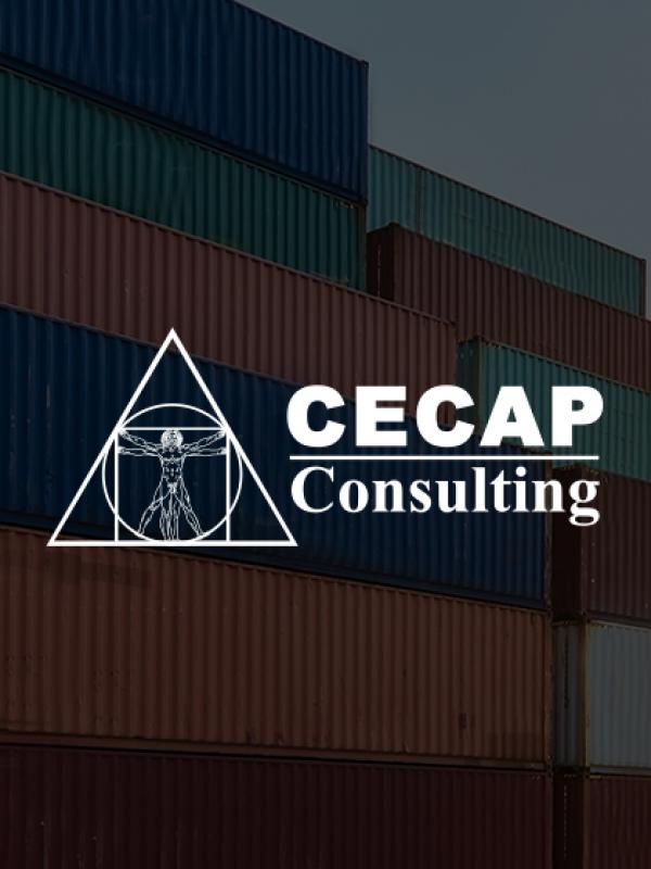 Cecap Conulting